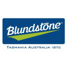 Discontinued-Blundstone 990 Slip-On Safety Boots